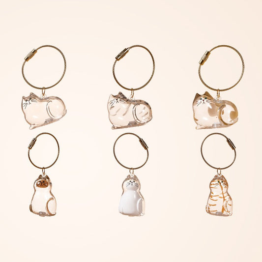 6pcs Transparent Cat Hair Storage Box Cat Hair Storage Capsule Keychain (Not Include Cat Hair)