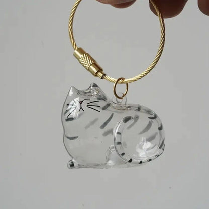 6pcs Transparent Cat Hair Storage Box Cat Hair Storage Capsule Keychain (Not Include Cat Hair)