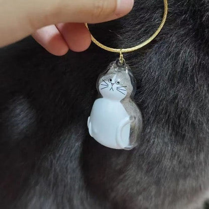 6pcs Transparent Cat Hair Storage Box Cat Hair Storage Capsule Keychain (Not Include Cat Hair)