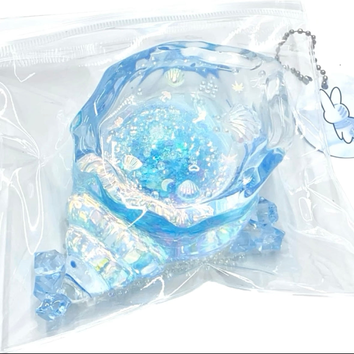 Transparent Whelk Conch Taba Squishy Toy (Liquid Squishy)