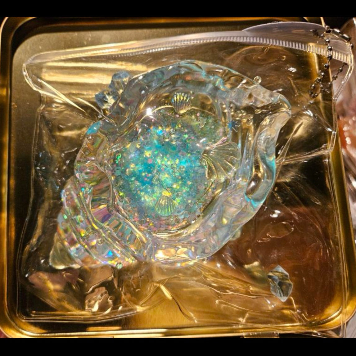 Transparent Whelk Conch Taba Squishy Toy (Liquid Squishy)