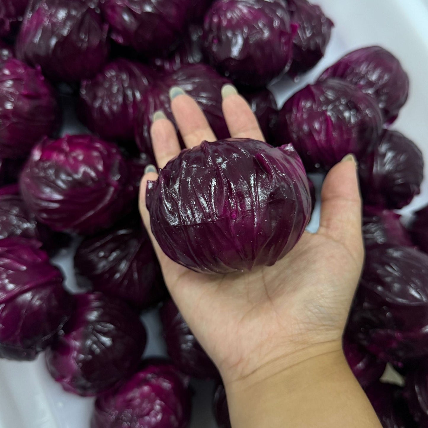 Crunchy Purple Cabbage Bead & Clay Base Stress Ball Squishy Stress Relief Decompression Toy