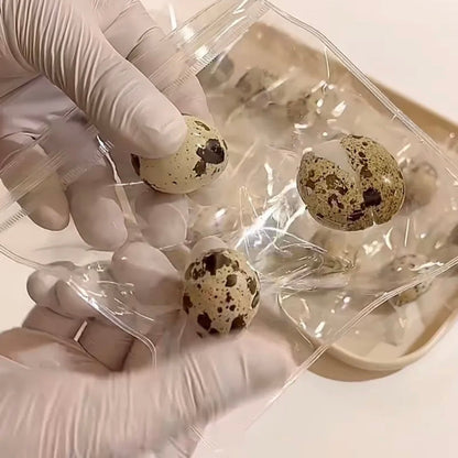 3pcs Quail Eggs Stress Relief Taba Squishy Toy